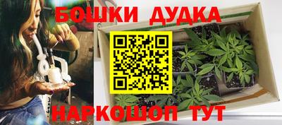 индика Ипатово